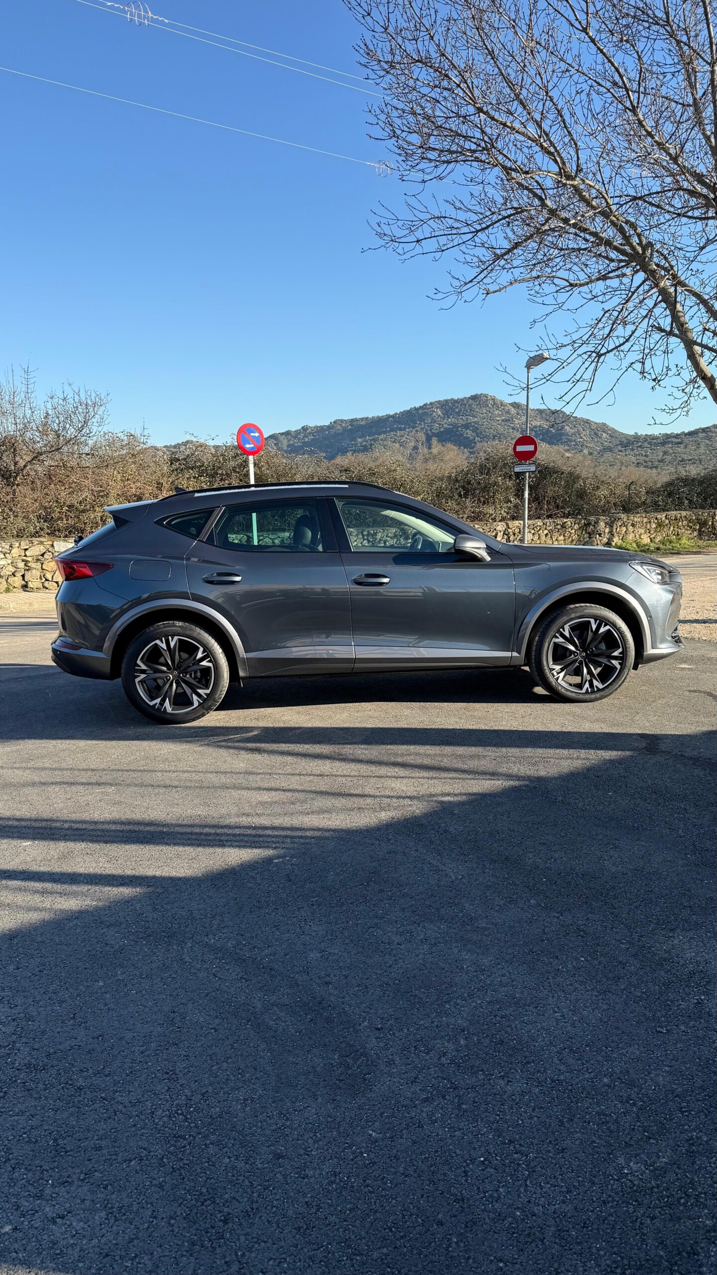 
								CUPRA FORMENTOR 2.0 TDI lleno									